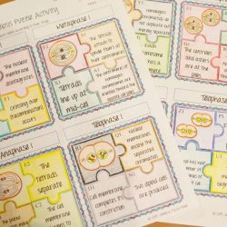 Student exploration: meiosis gizmo answer