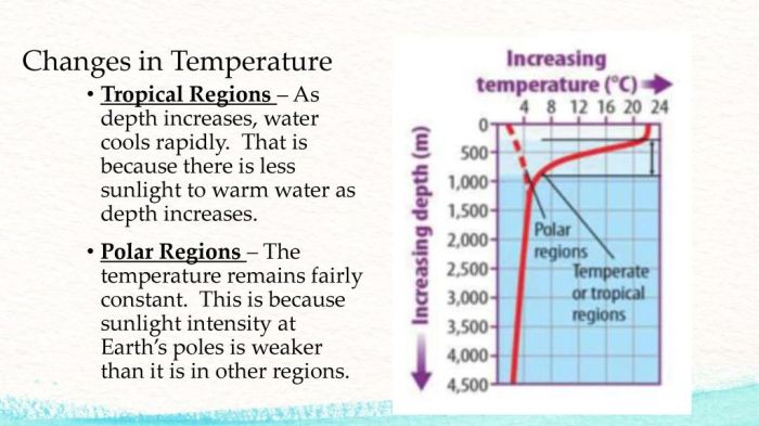 Polar and tropical regions maintain fairly constant average temperatures because