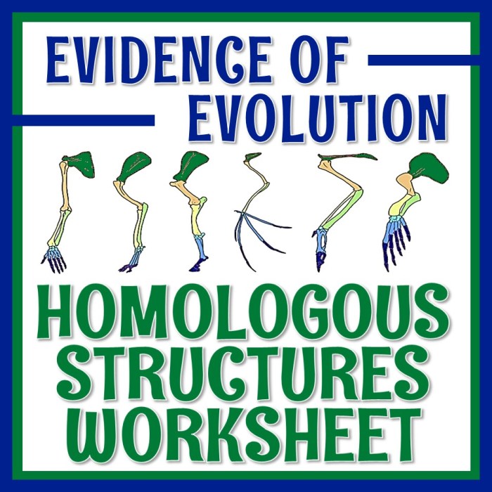 Homologous analogous and vestigial structures worksheet answer key